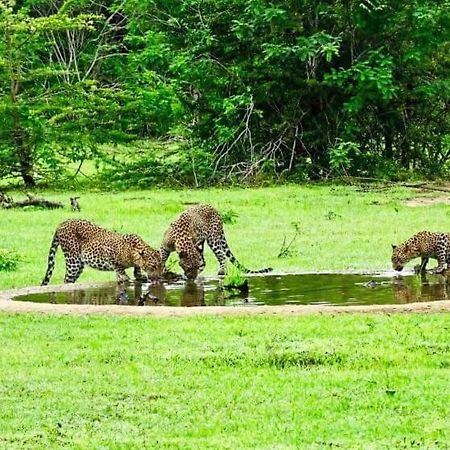 Yala Leopard Mobile Camp Hotel Exterior photo