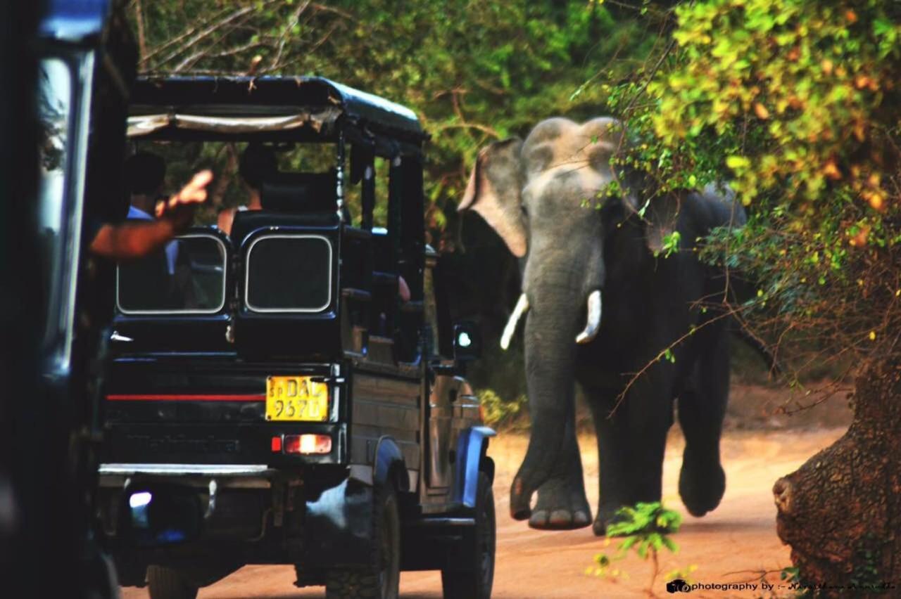 Yala Leopard Mobile Camp Hotel Exterior photo